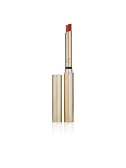 Estée Lauder Pure Color Explicit Matte Rouge à Lèvres 106 Mistress 7g
