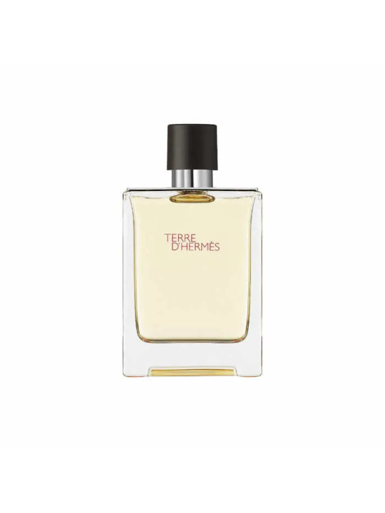 Hermès Terre d'Hermès Eau de Toilette Vaporisateur 100ml