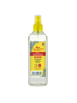 Alvarez Gómez Spray Hydroalcoolique 300ml