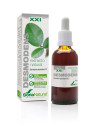 Soria Natural Extrait de Desmodium Siglo XXI 50ml