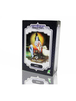 Radhe Shyam Henné Indigo Poudre 100g