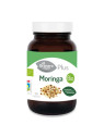 Granero S Moringa Bio 90 Gélules 400mg