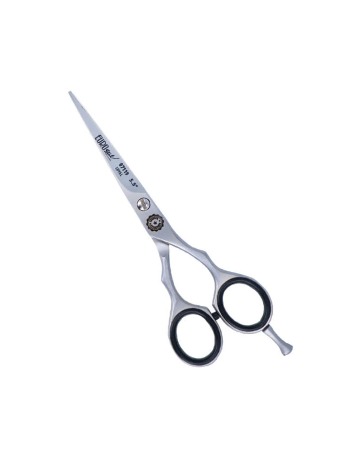 Eurostil Professionnel Ciseaux en Acier Inoxydable 1 Unité