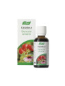 A. Vogel Cistoforce Gouttes 50ml