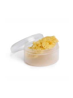 Suavinex Éponge Naturelle Grande Taille 1 unité