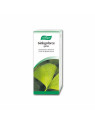 A. Vogel Ginkgoforce 100ml