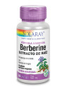 Solaray Berbérine 60 Vcaps Formule Avancée