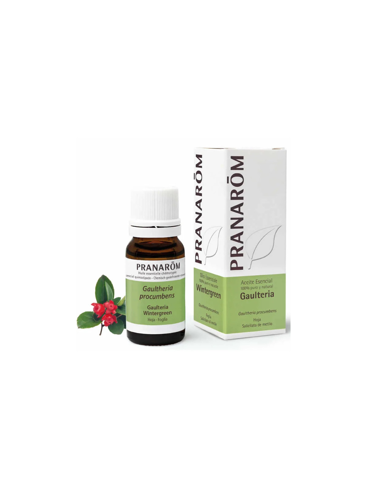 Pranarôm Gaulthérie Couchée (Wintergreen) Huile Essentielle 10ml