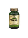Solgar SFP Gotu Kola (Centella Asiatica) Extrait 100 Gélules