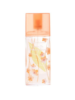 Elizabeth Arden Green Tea Nectarine Blossom Eau de Toilette Vaporisateur 100ml