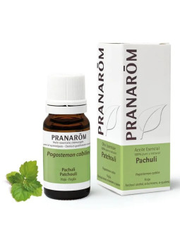 Pranarôm Huile Essentielle de Patchouli Bio (Pogostemon cablin) 10ml
