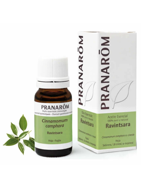 Pranarôm Huile Essentielle de Ravintsara 10ml
