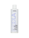 Indola Shampooing Spécial Cheveux Gris et Blancs 300ml