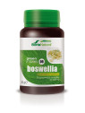 MGDose Boswellia 1000 mg 30 comprimés
