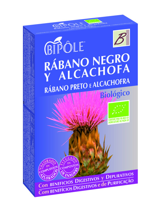 Intersa Bipole Radis Noir-Artichaut