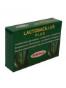 Integralia Lactobacillus Plus 60 Gélules