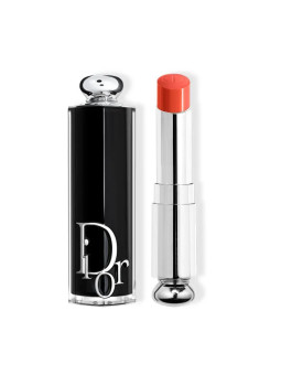 Dior Addict Lipstick Rouge à Lèvres 744 1 unité