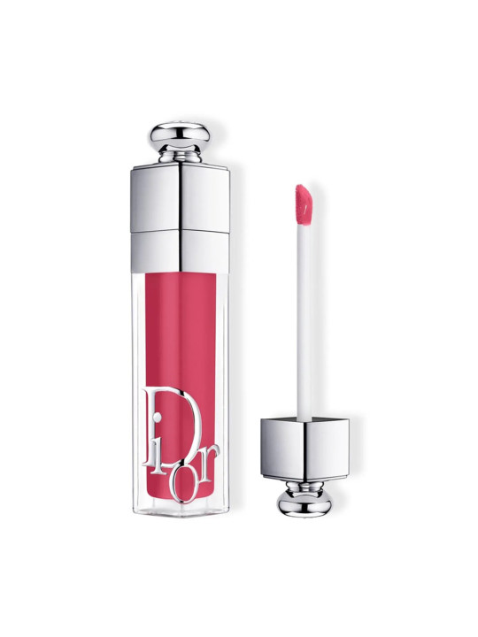Dior Addict Lip Maximizer Rouge à Lèvres 029
